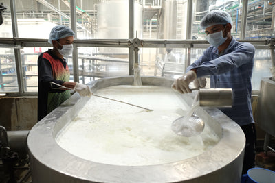 THE ART OF PANEER MAKING